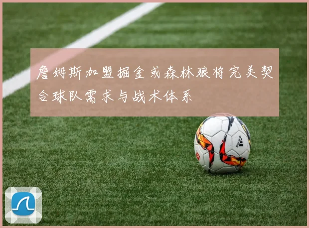 詹姆斯加盟掘金或森林狼将完美契合球队需求与战术体系