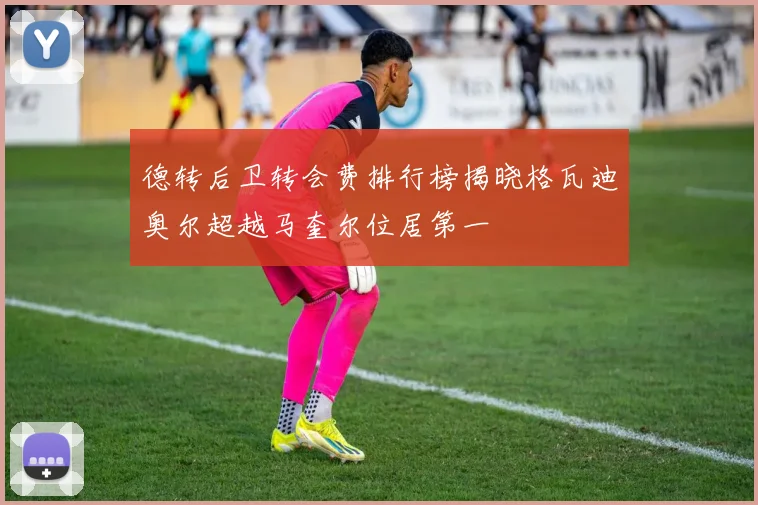 德转后卫转会费排行榜揭晓格瓦迪奥尔超越马奎尔位居第一