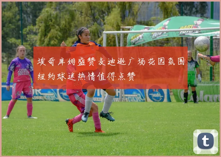 埃奇库姆盛赞麦迪逊广场花园氛围纽约球迷热情值得点赞