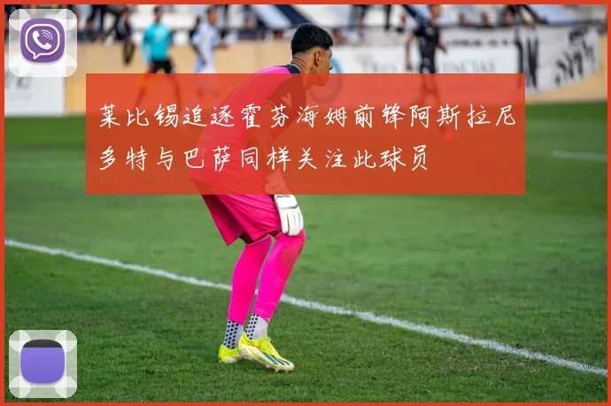 莱比锡追逐霍芬海姆前锋阿斯拉尼多特与巴萨同样关注此球员